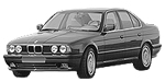 BMW E34 C1981 Fault Code