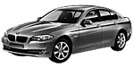 BMW F10 C1981 Fault Code