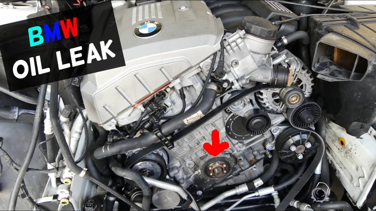 See C1981 in engine